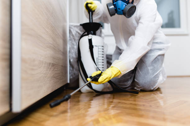 Best Pest Control Treatment  in Sabina, OH