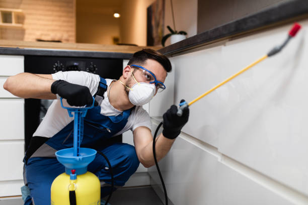 Best Wasp Removal Services  in Sabina, OH