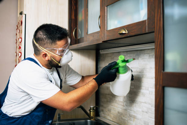Best Pest Control for Restaurants  in Sabina, OH