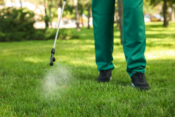 Best Pest Inspection Near Me  in Sabina, OH