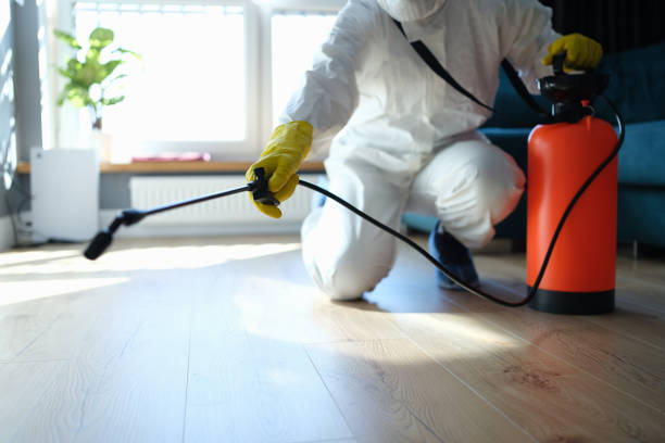Best Local Pest Control Services  in Sabina, OH