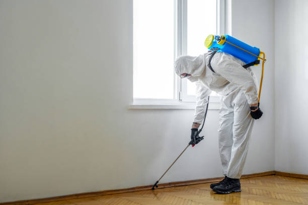 Best Emergency Pest Control  in Sabina, OH