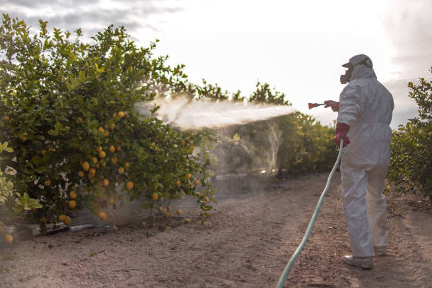 Professional Pest Control in Sabina, OH