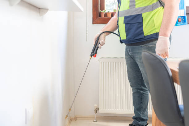 Best Flea Control Services  in Sabina, OH