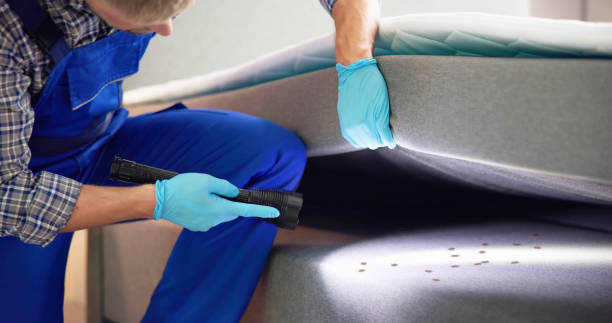 Best Pest Removal Services  in Sabina, OH