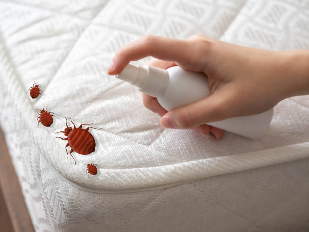 Best Bed Bug Extermination  in Sabina, OH