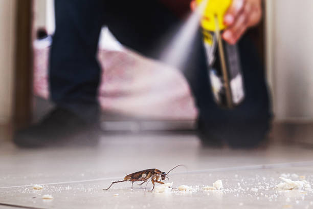 Best Local Pest Control Services  in Sabina, OH