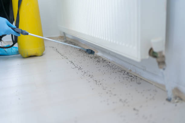 Best Best Pest Control Companies  in Sabina, OH