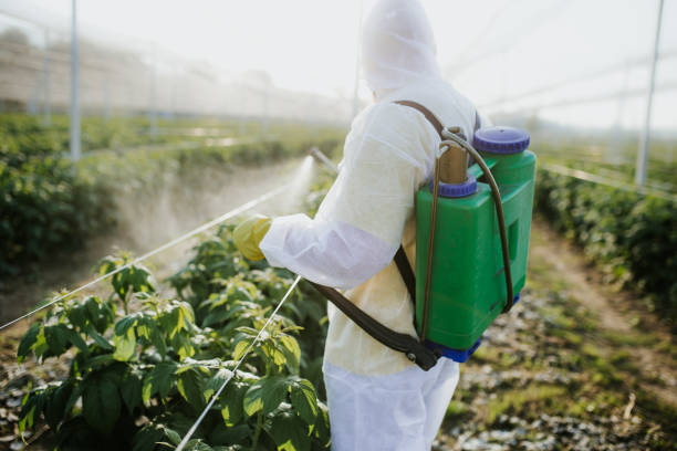 Best Residential Pest Control  in Sabina, OH